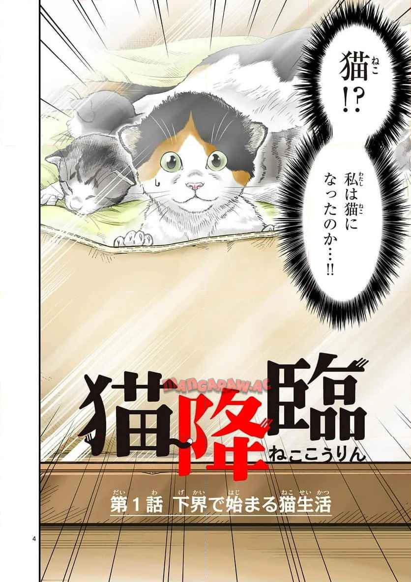 猫降臨 第1話 - Page 4