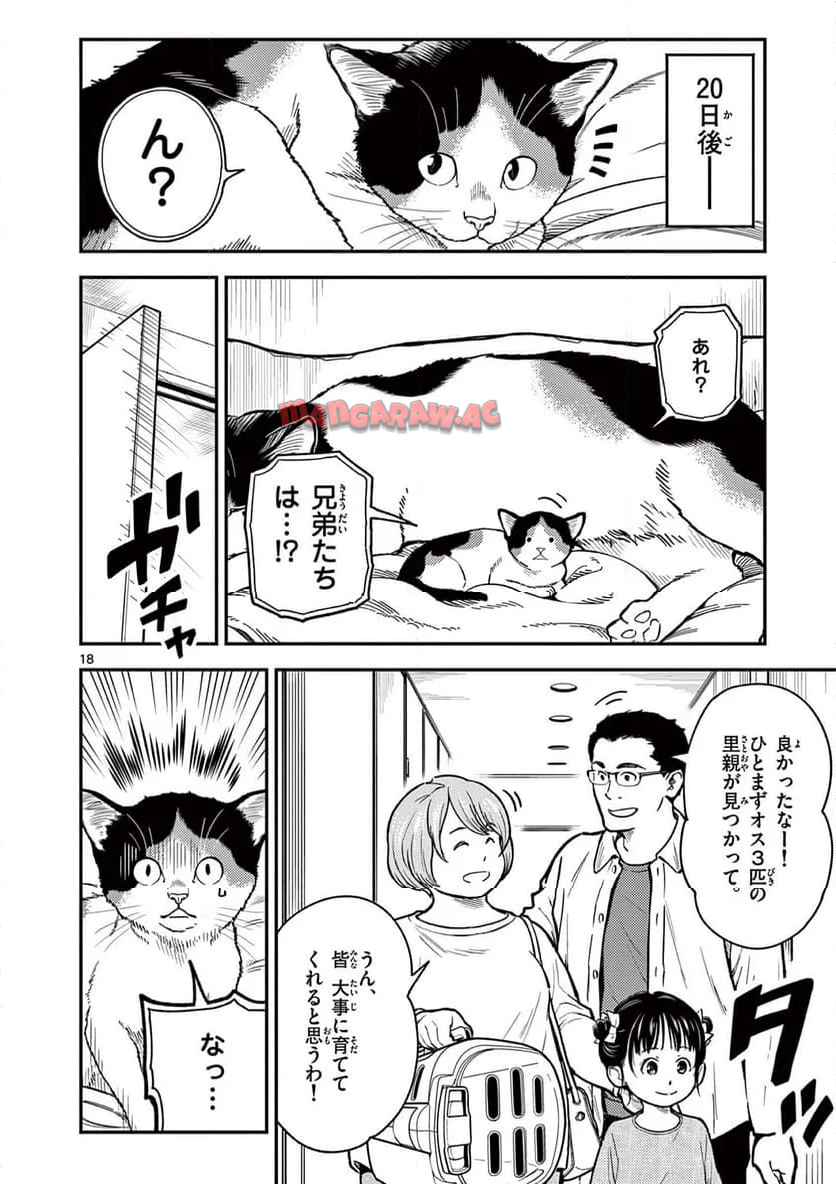 猫降臨 第1話 - Page 18