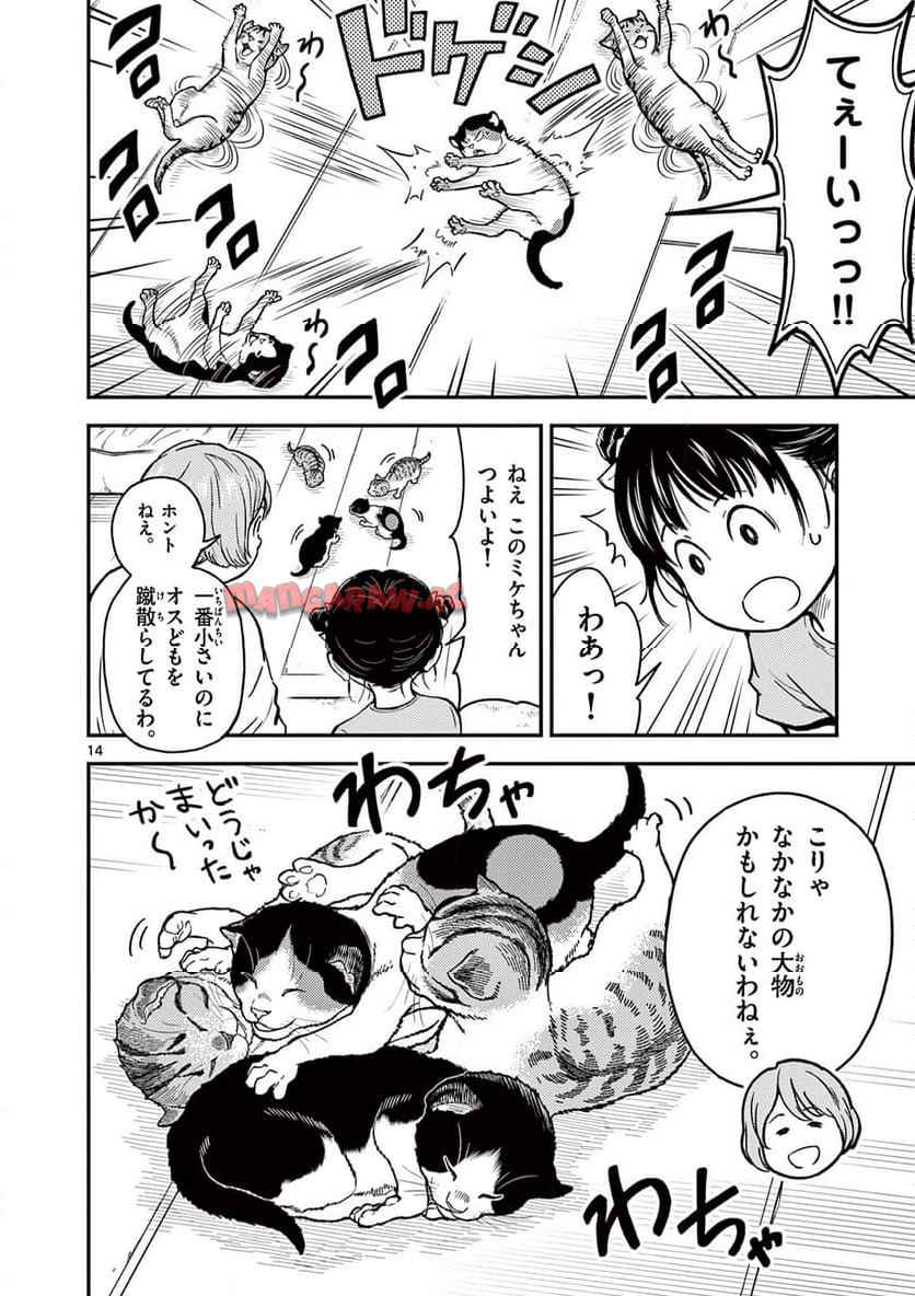 猫降臨 第1話 - Page 14