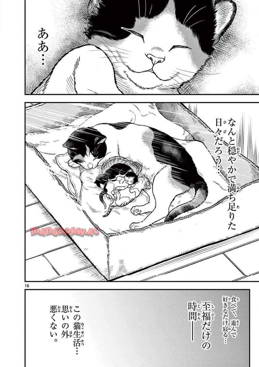 猫降臨 第1話 - Page 16