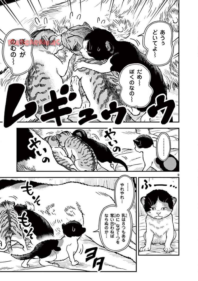 猫降臨 第1話 - Page 9