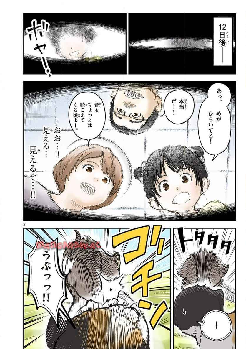 猫降臨 第1話 - Page 2