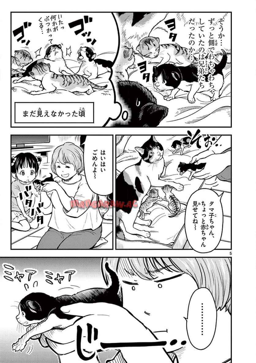 猫降臨 第1話 - Page 5