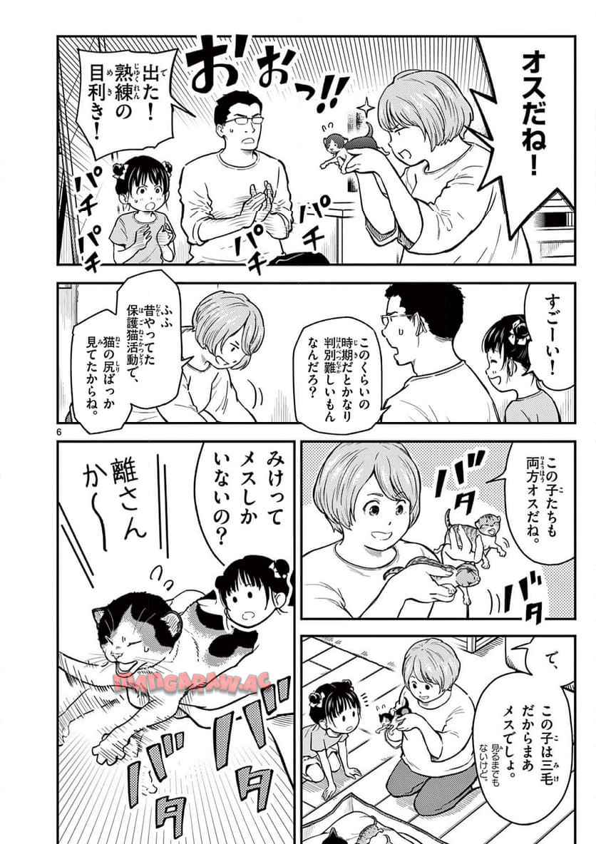 猫降臨 第1話 - Page 6