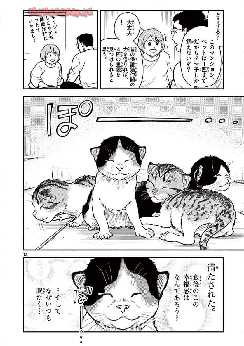猫降臨 第1話 - Page 12