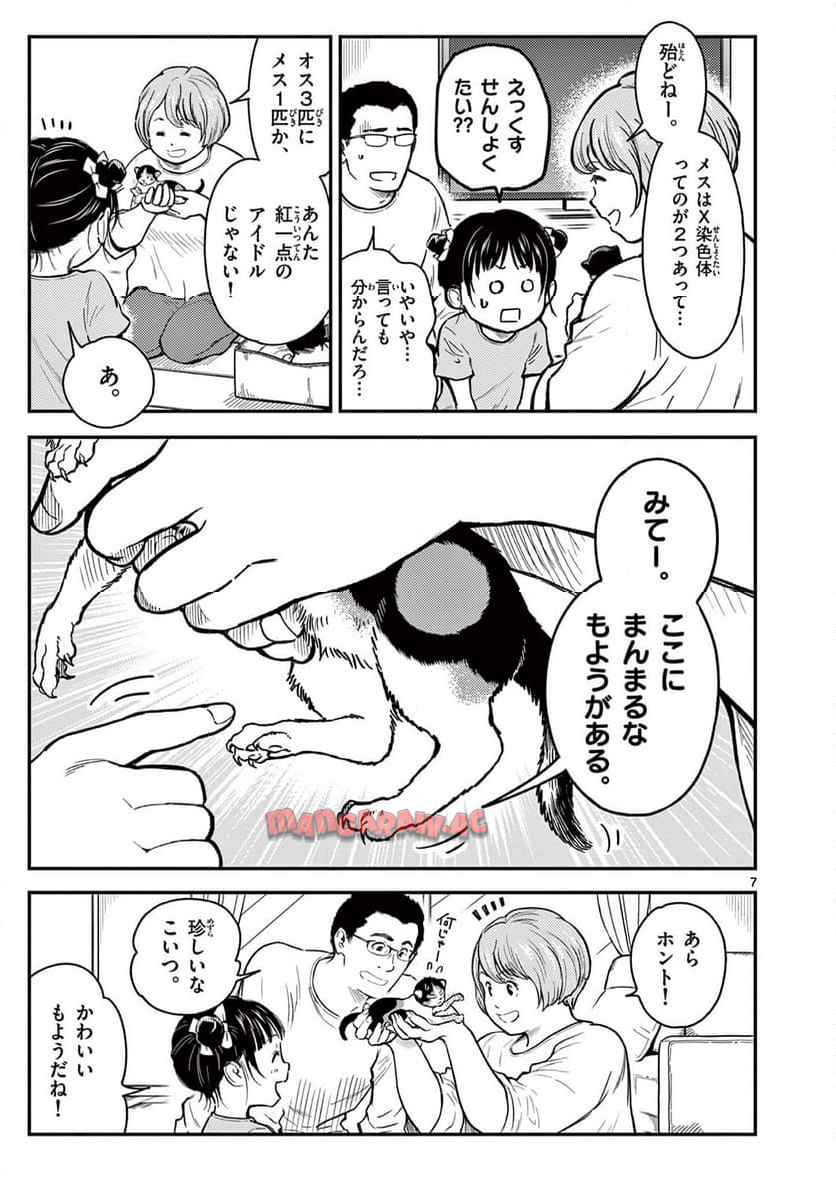 猫降臨 第1話 - Page 7