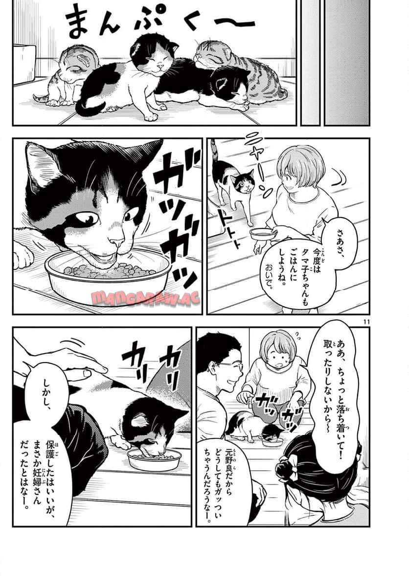 猫降臨 第1話 - Page 11