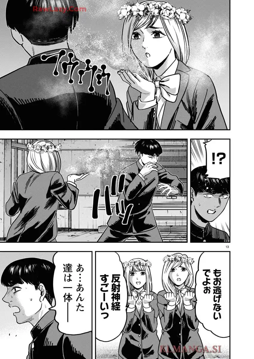 13