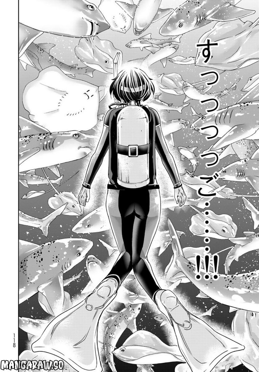 26