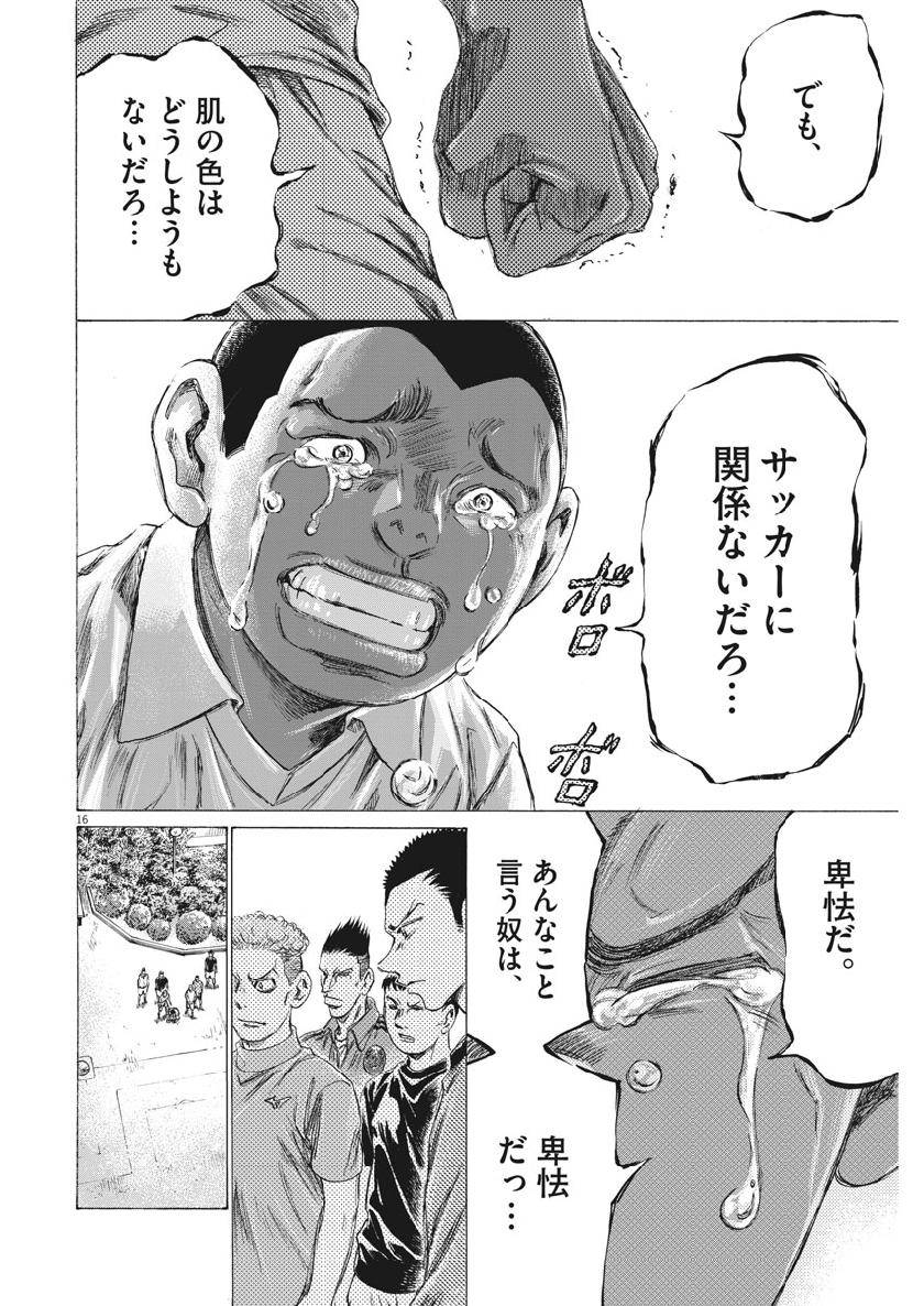 16.jpg