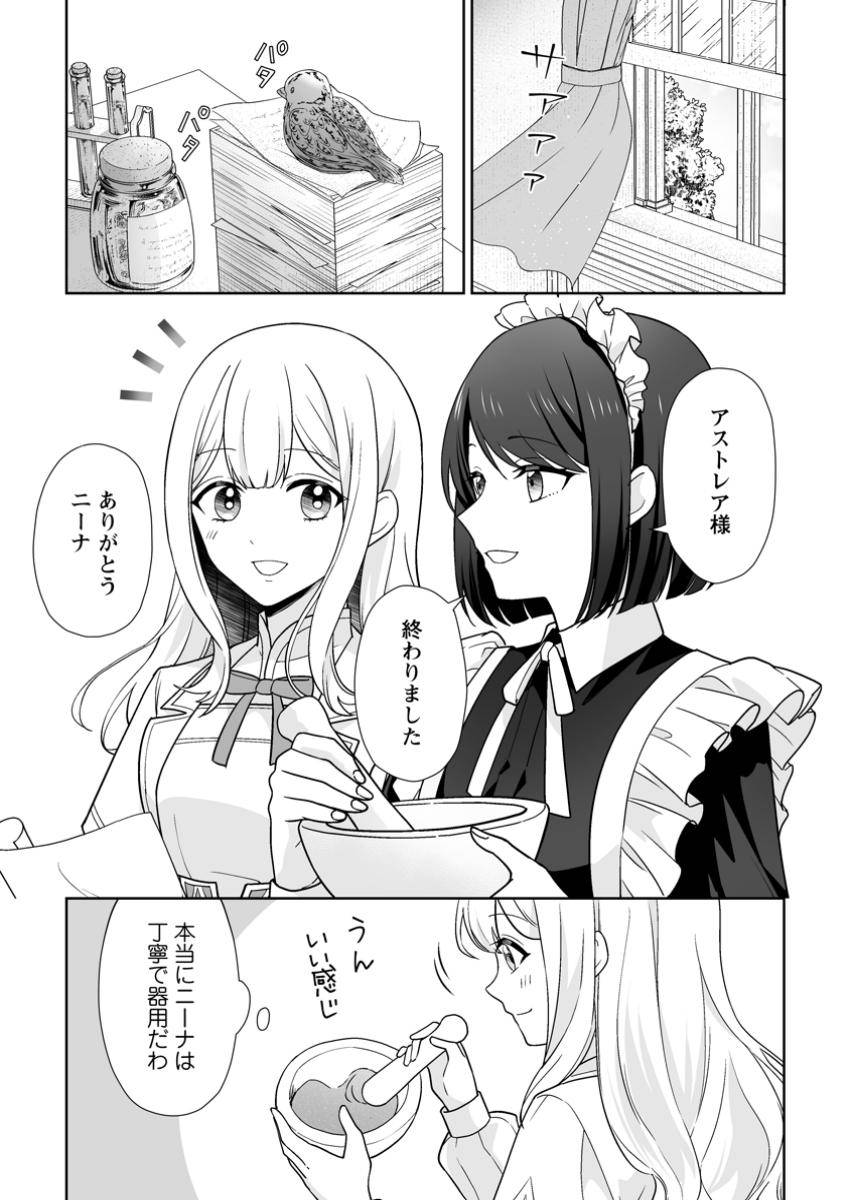 身代わりで縁談に参加した愚妹の私、隣国の王子様に見初められました 第5.1話 - Page 1