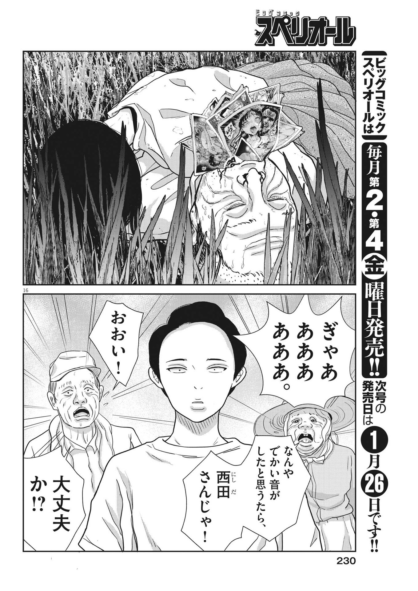 31