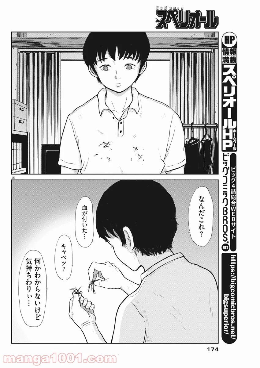 31