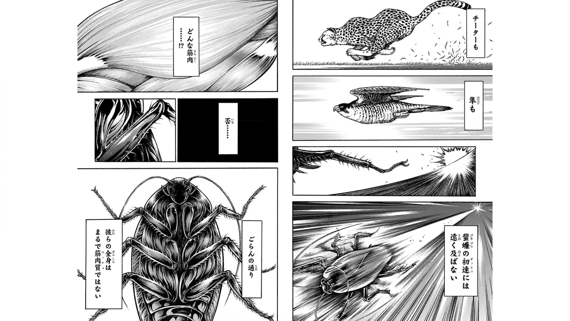 バキ道 第88話 - Page 4