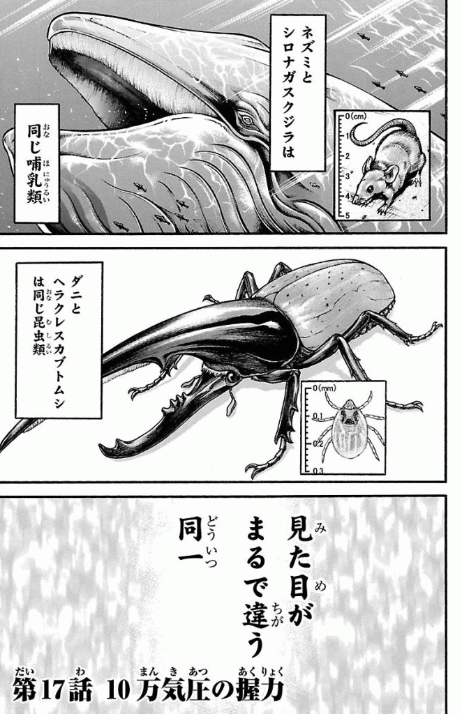 バキ道 第17話 - Page 1