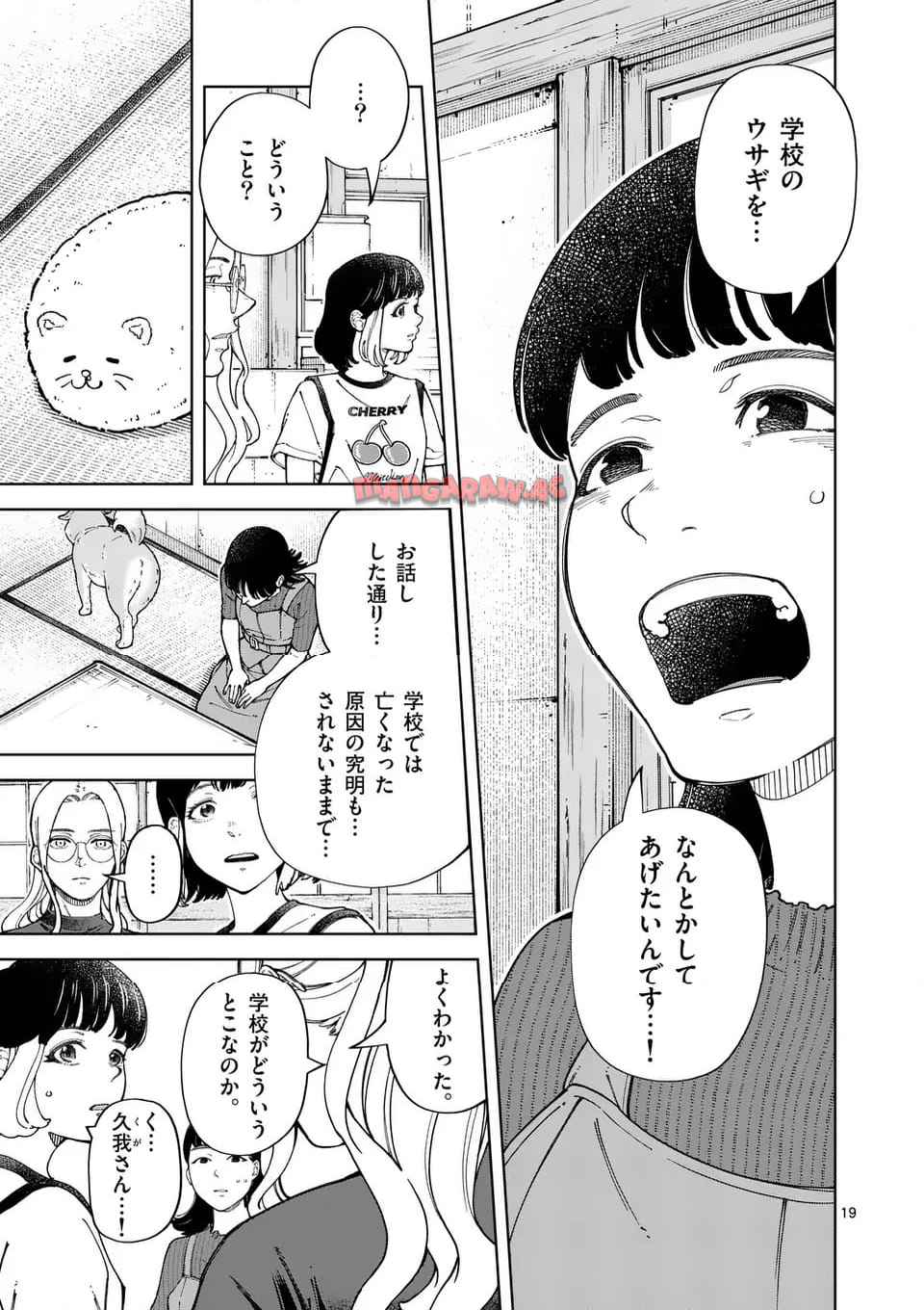 19