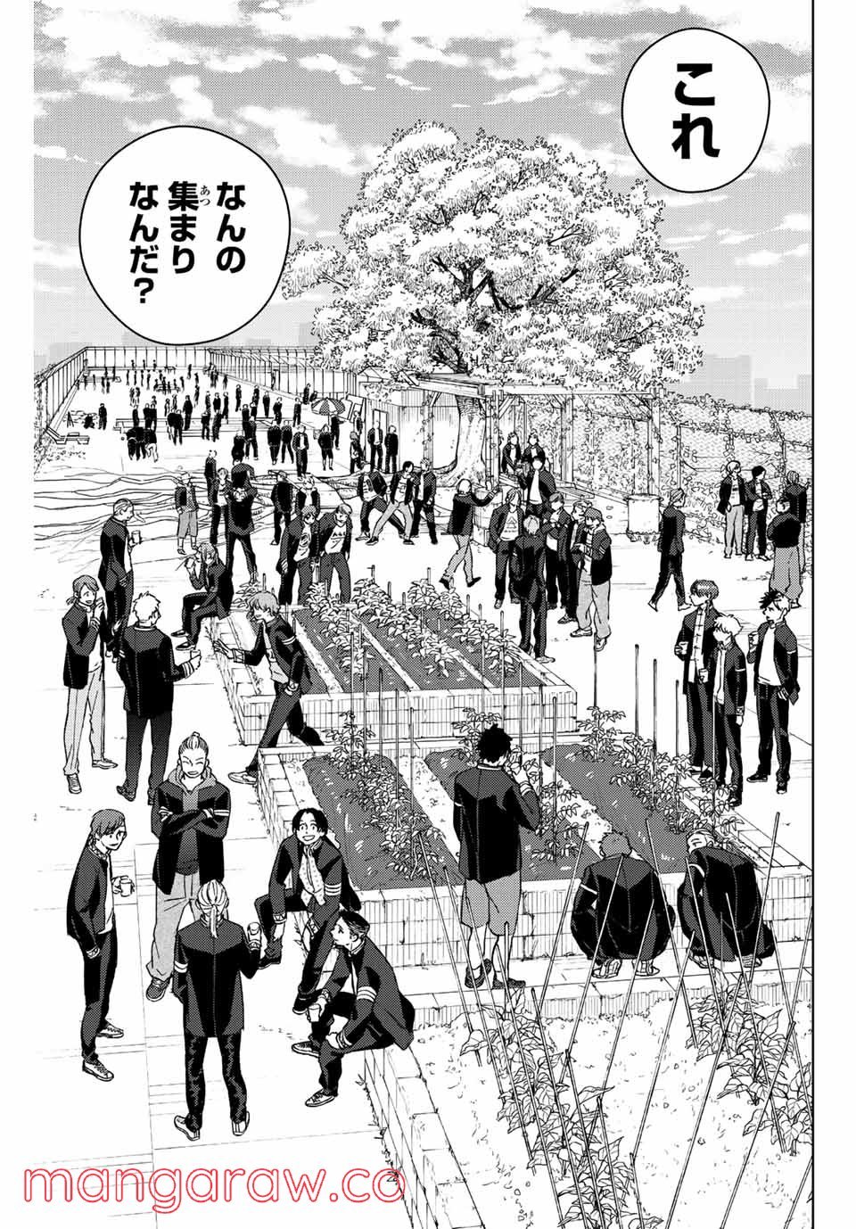ＷＩＮＤ　ＢＲＥＡＫＥＲ 第62話 - Page 3