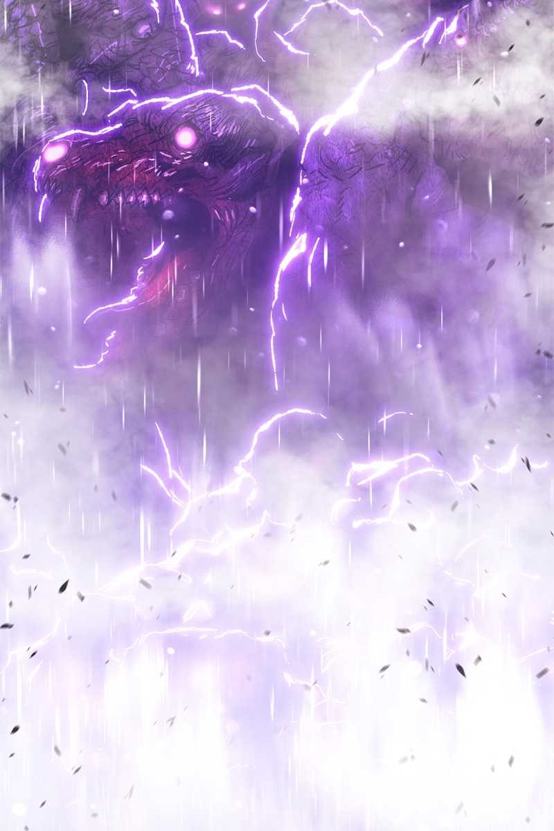 260
