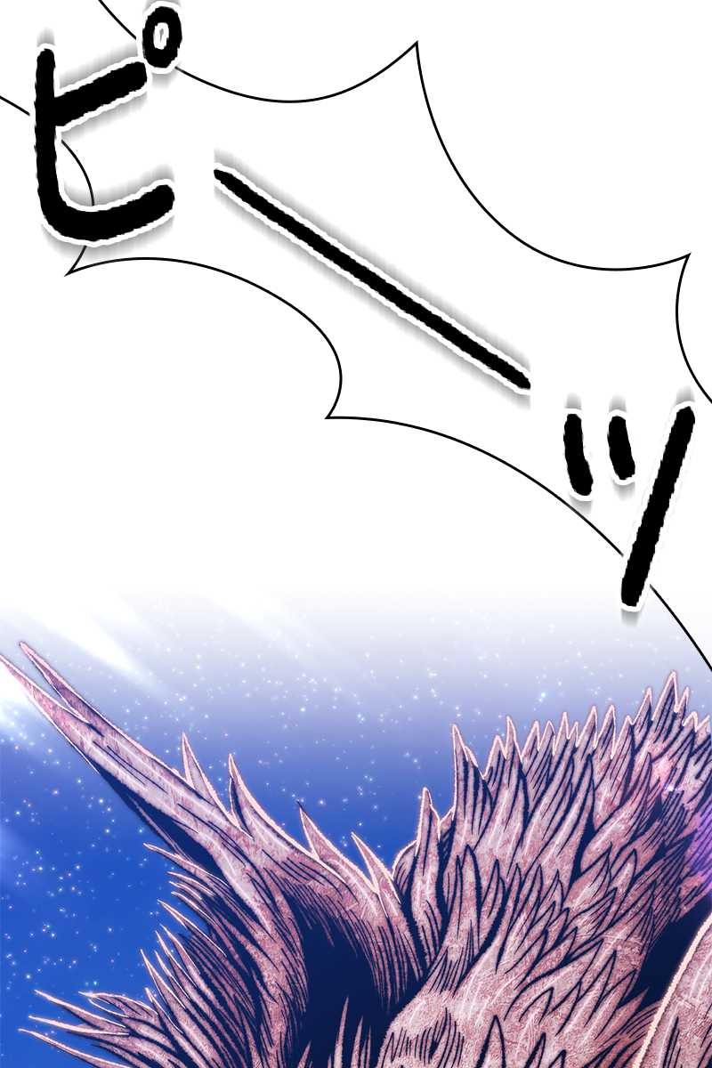 323
