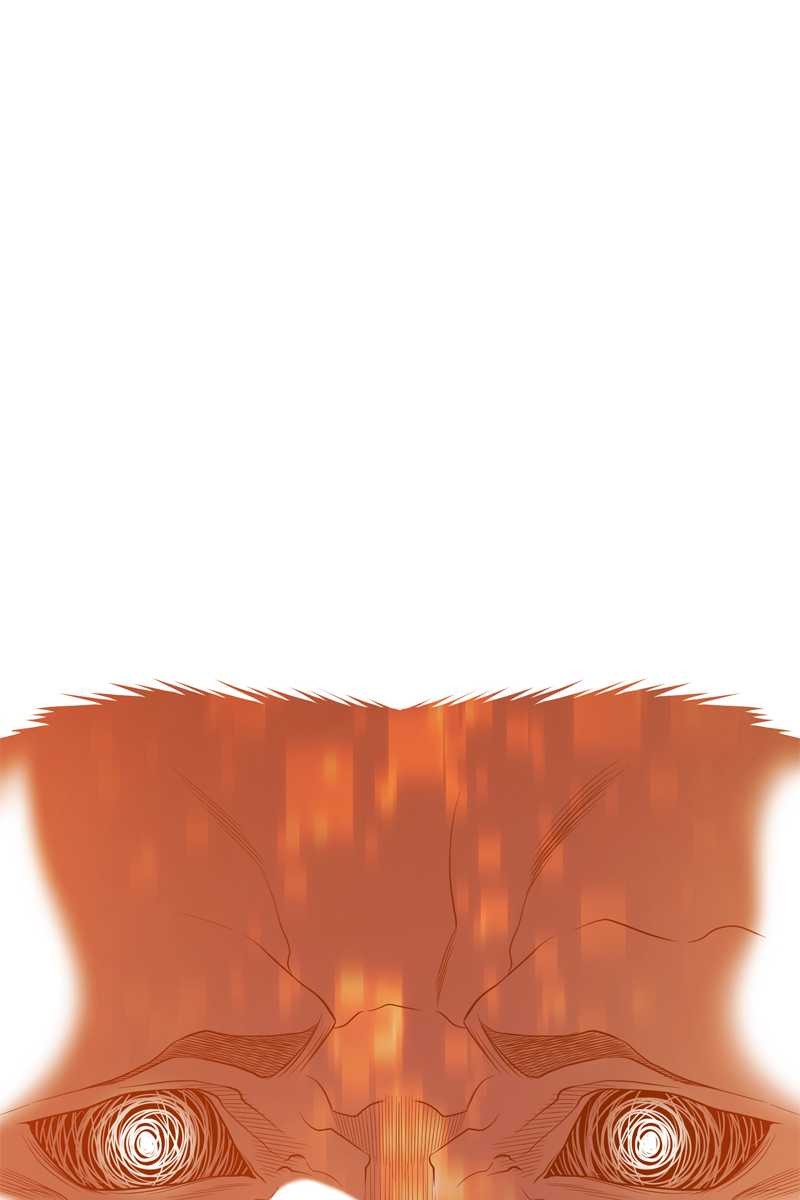81