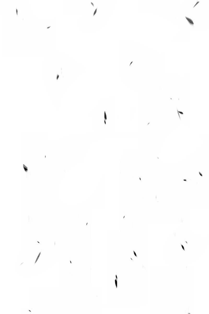 247