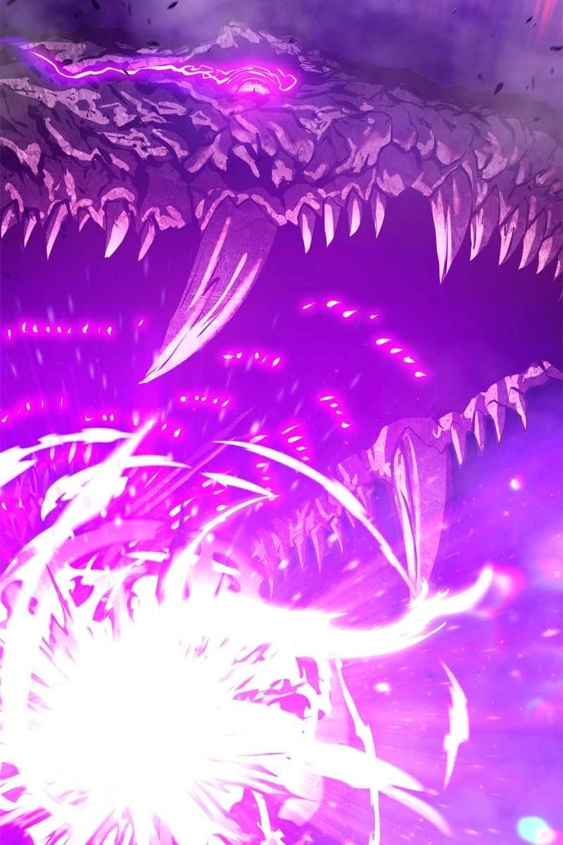 81