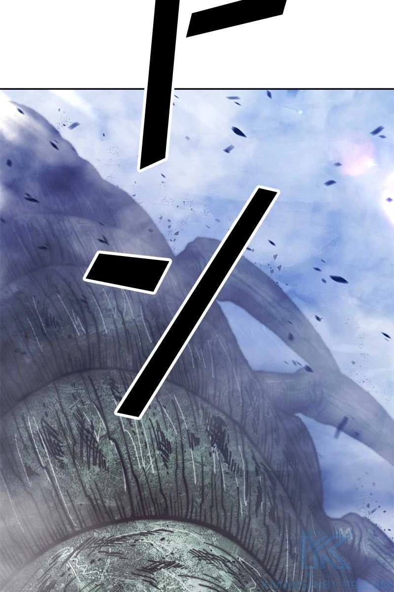 244