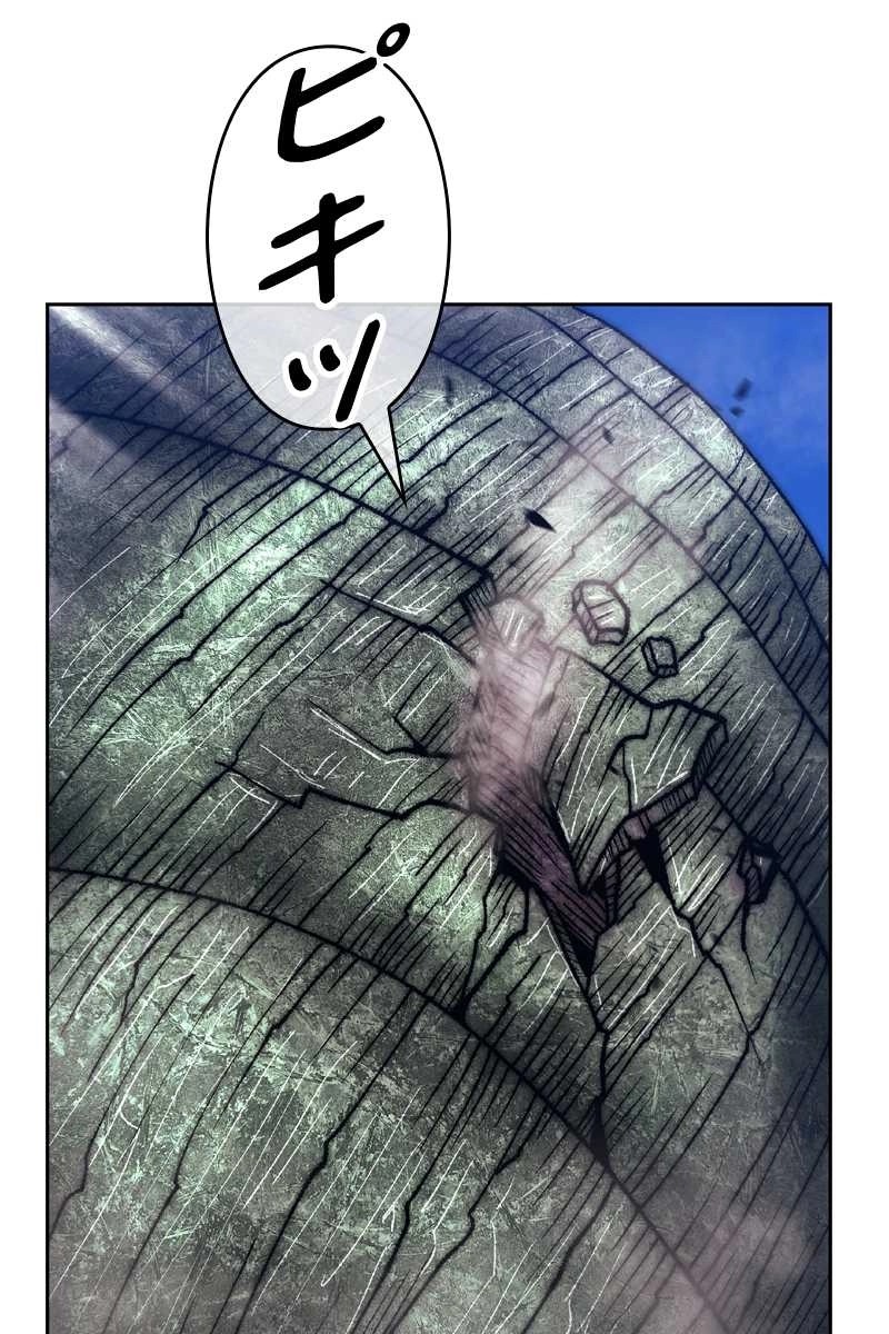 323