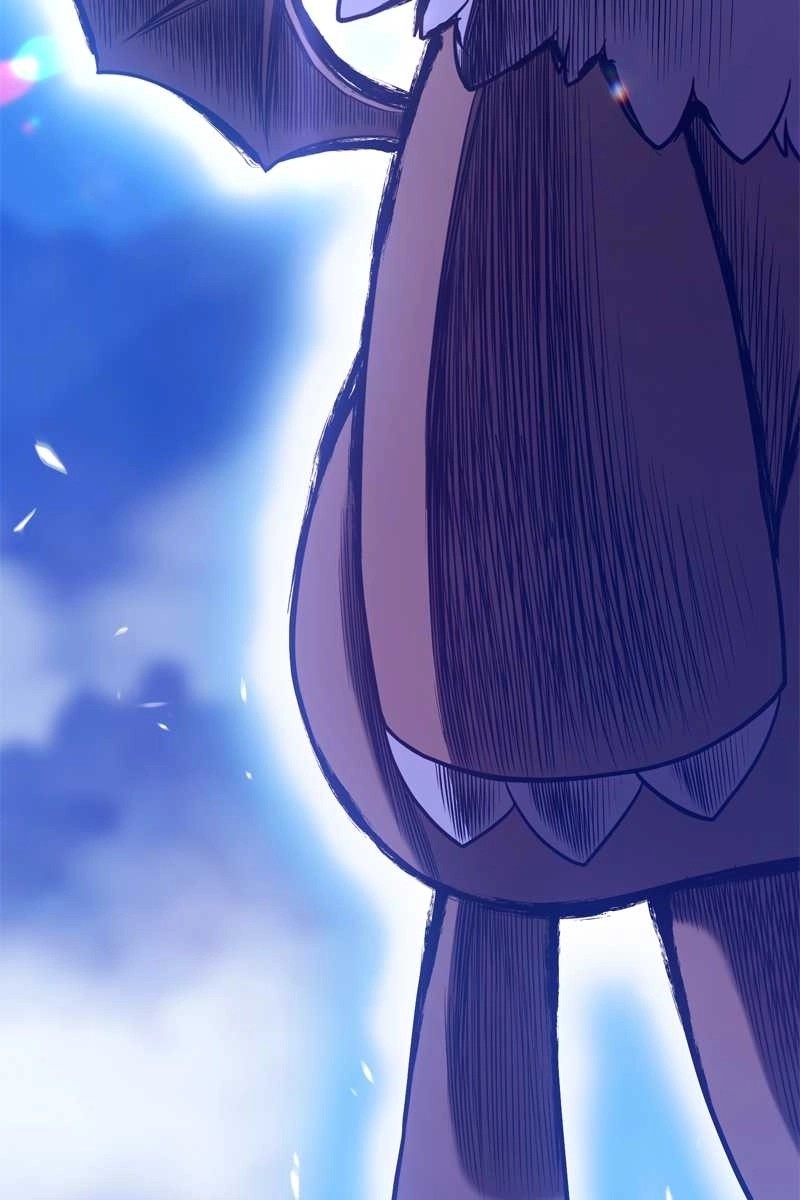 491