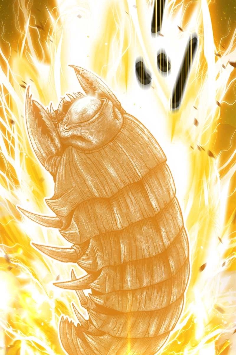 155