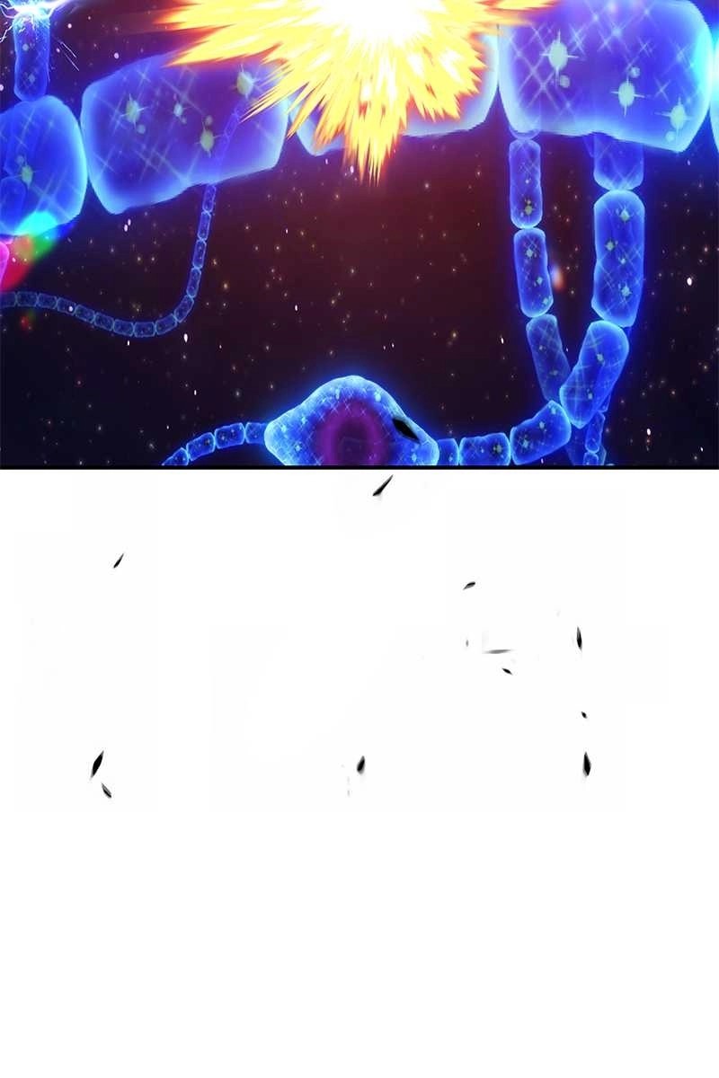 204