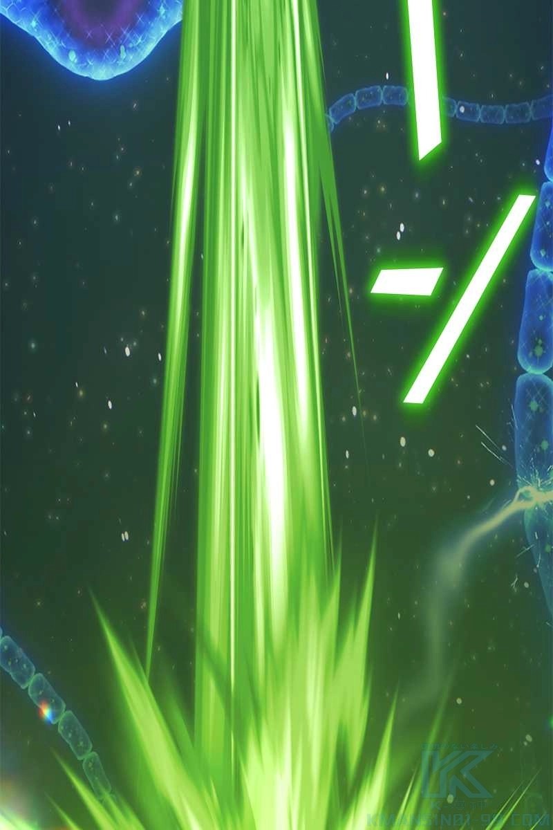 256
