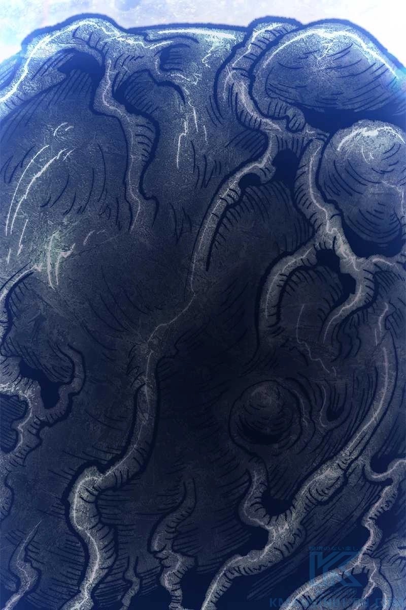 295