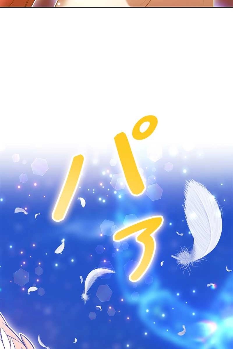 81