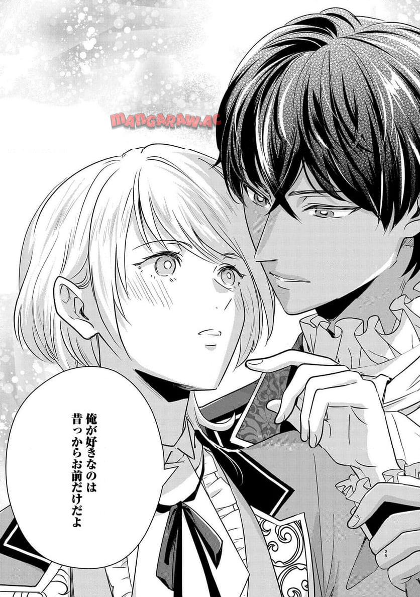 お局令嬢と朱夏の季節 〜冷徹宰相様のお飾りの妻になったはずが、溺愛されています〜 第9.5話 - Page 25