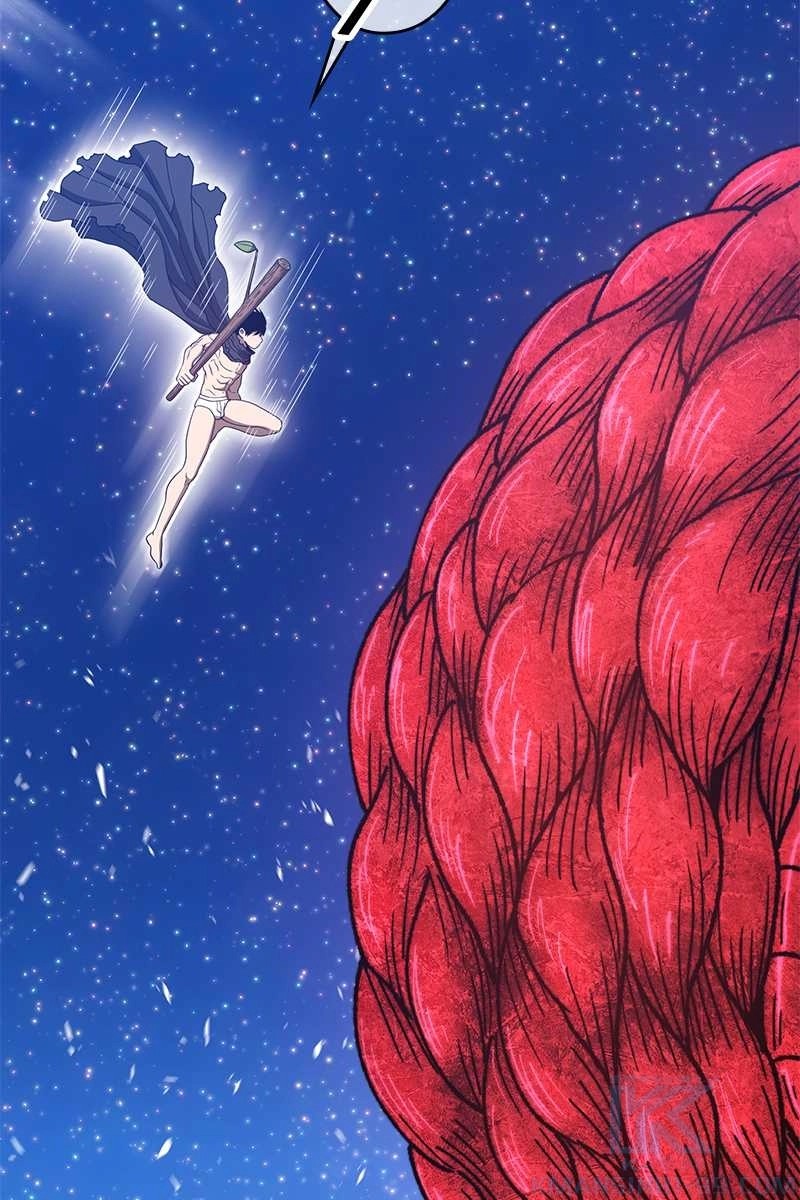 256