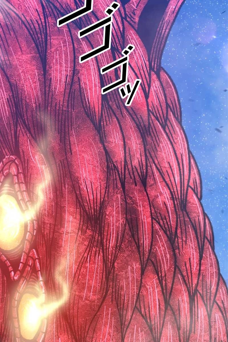 243