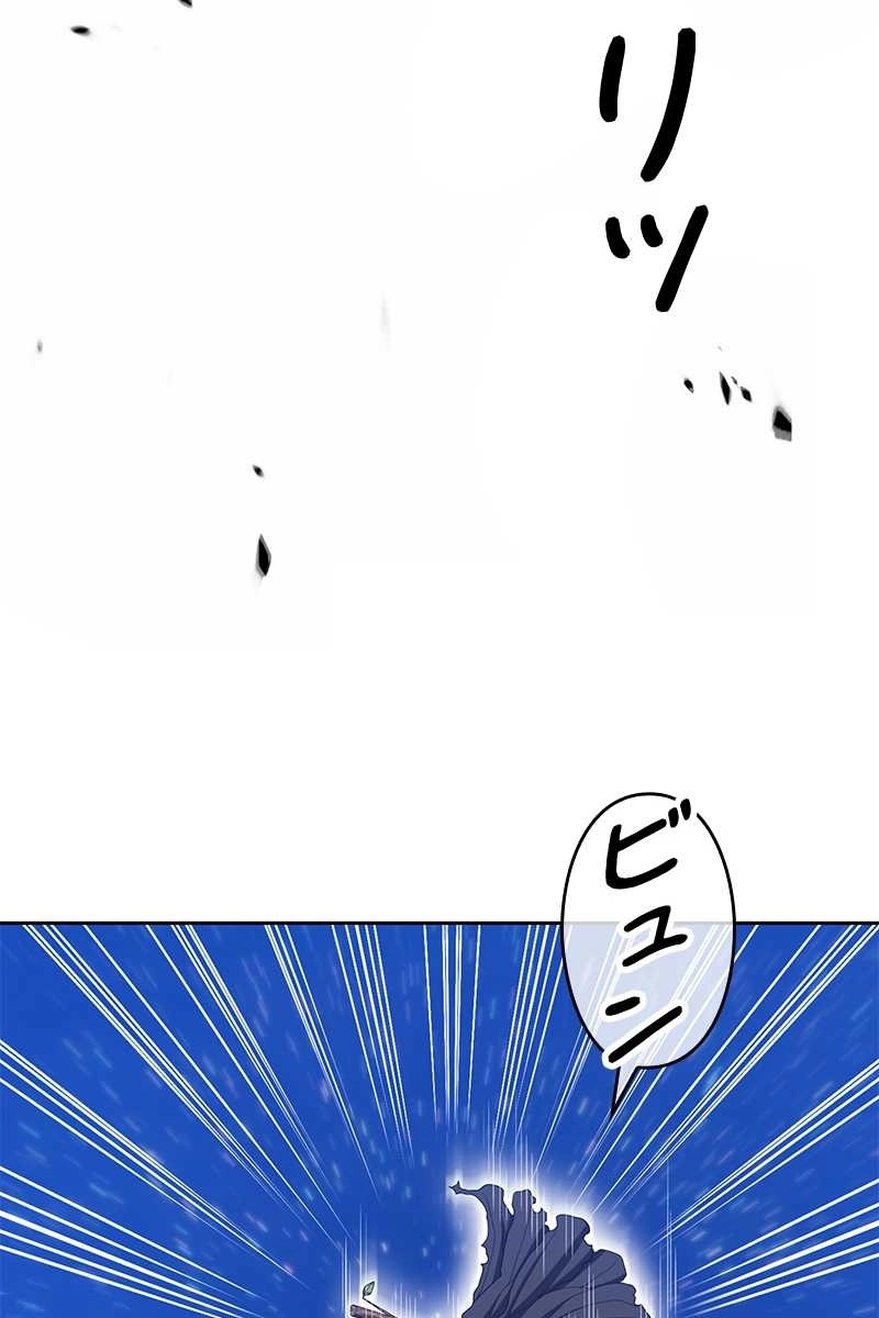 323