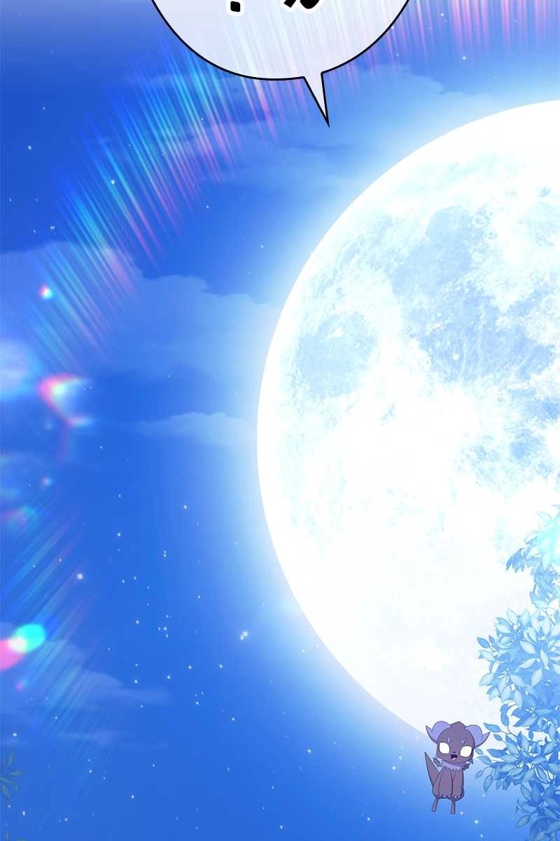 81