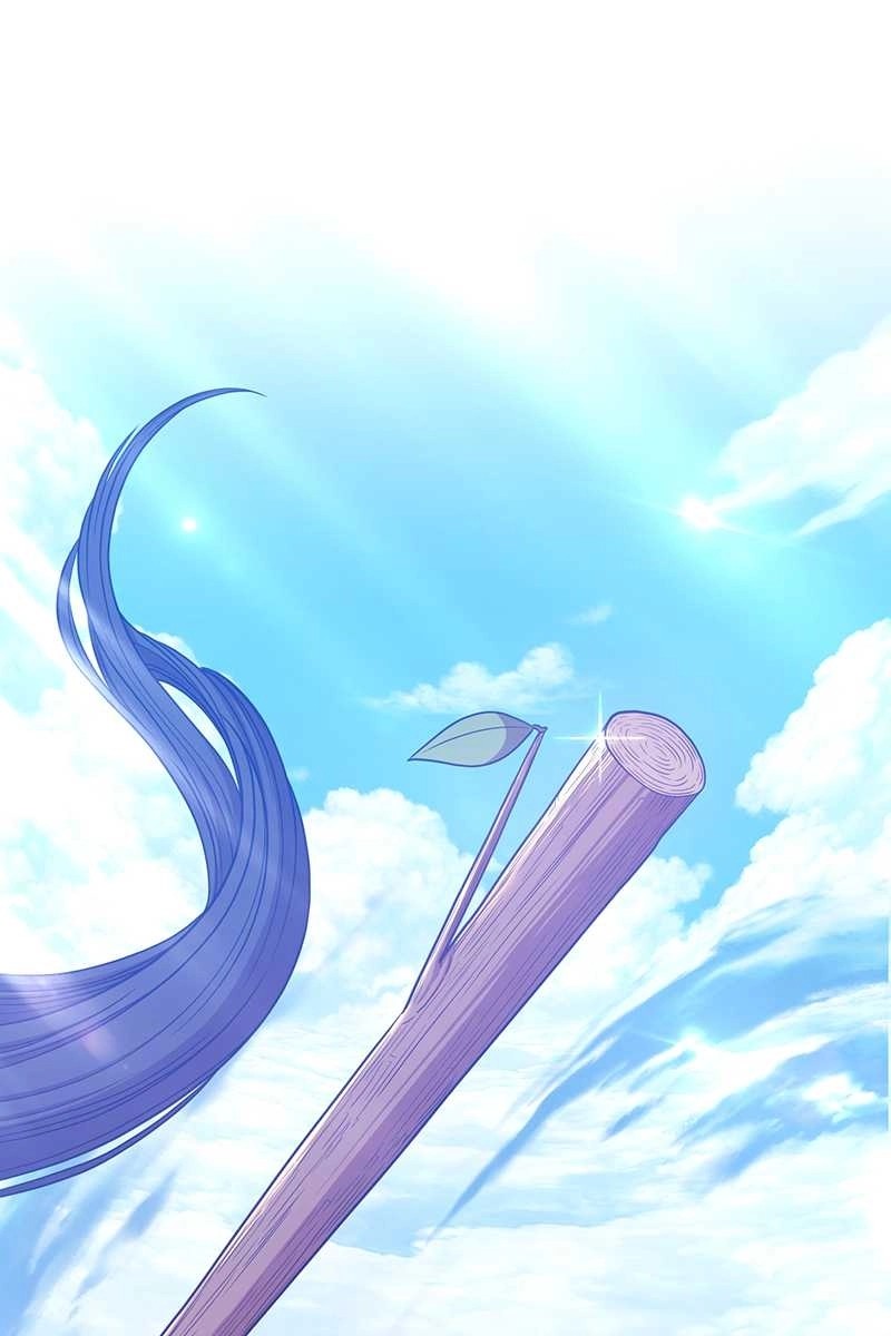161