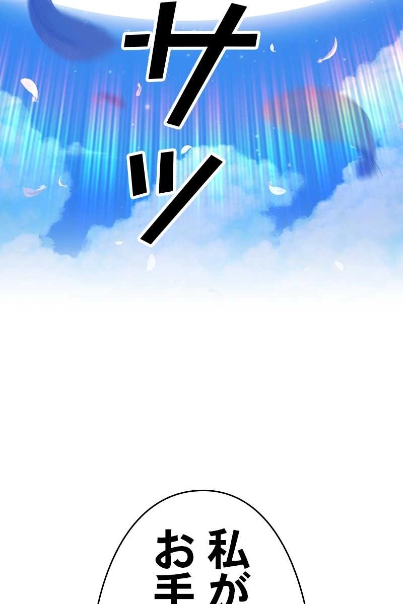 81