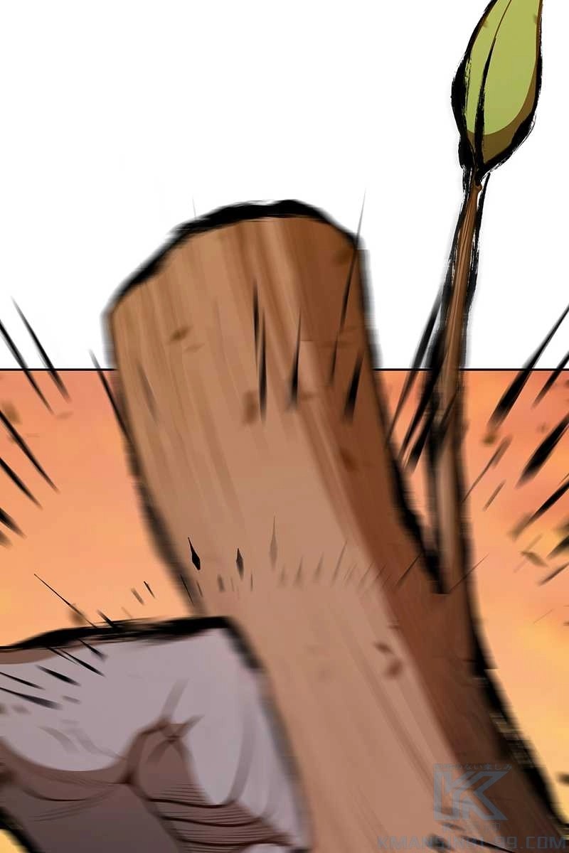 223
