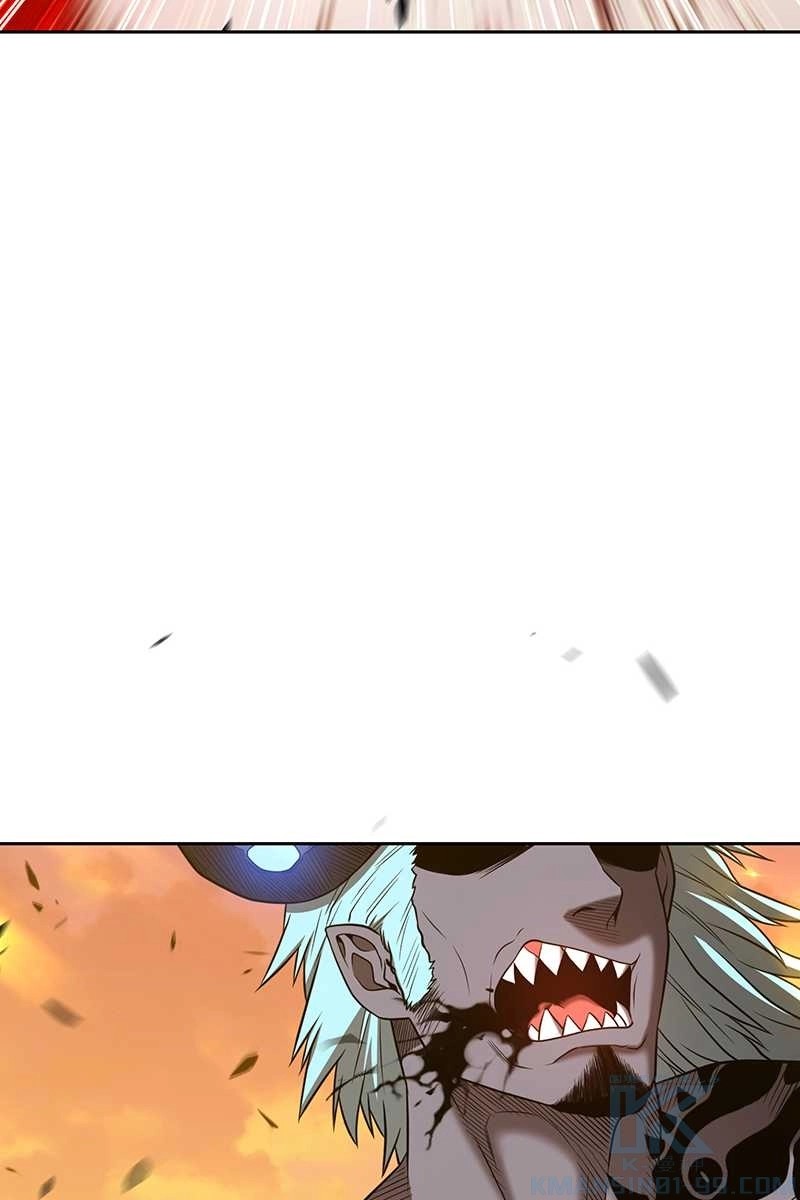 244