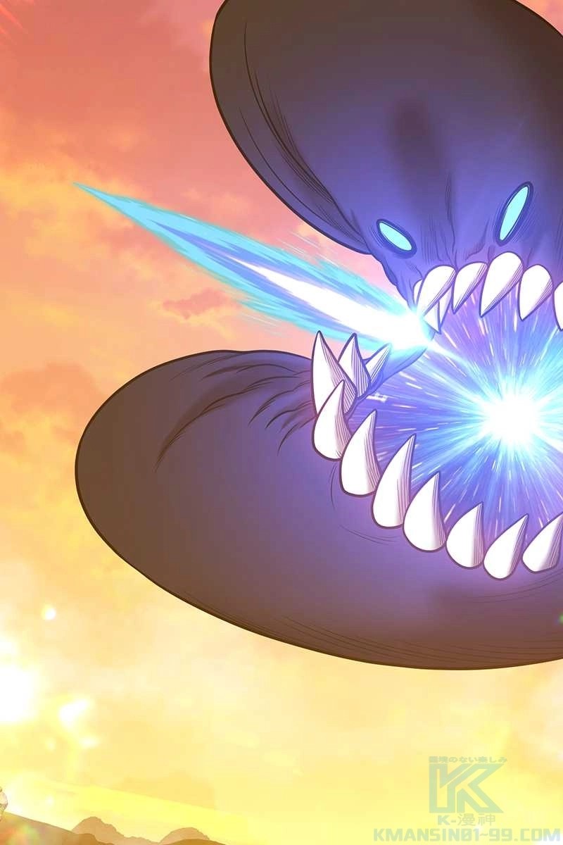 244