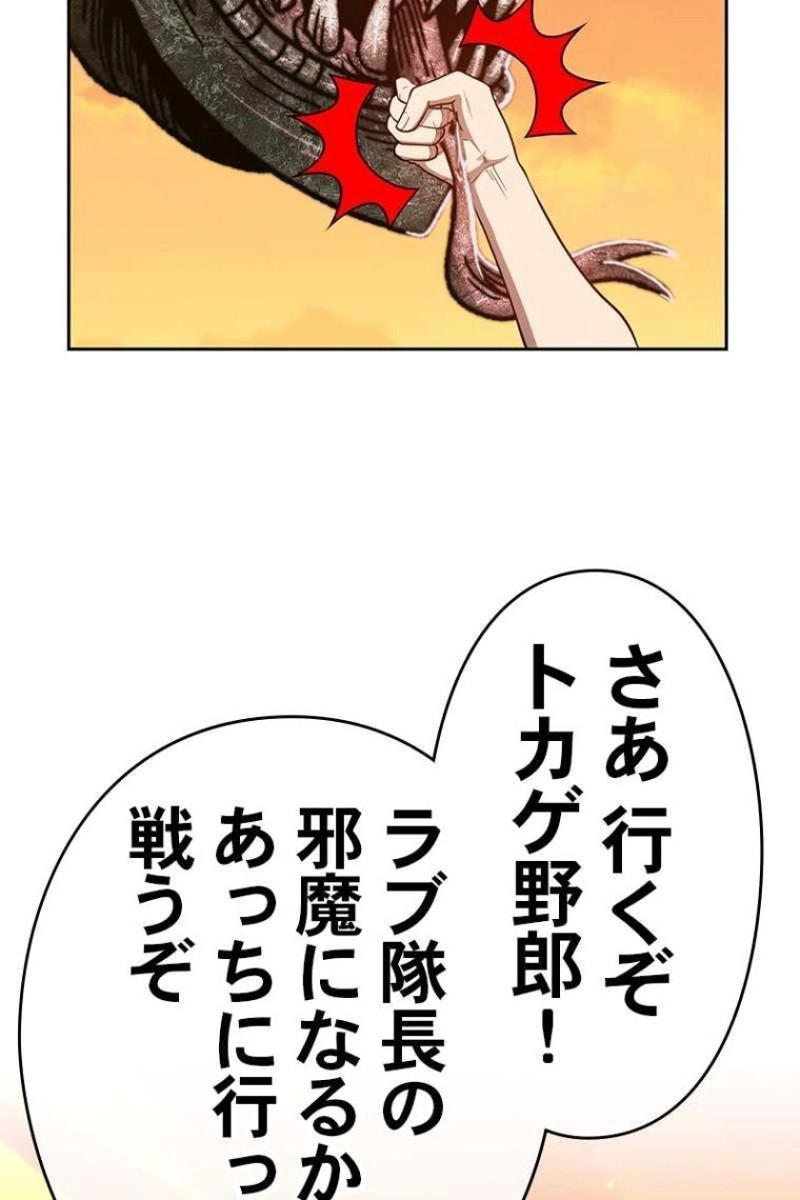 81