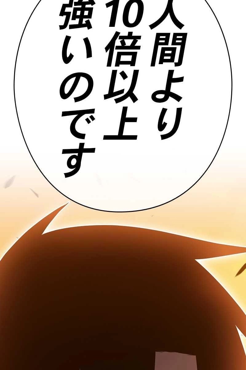 204