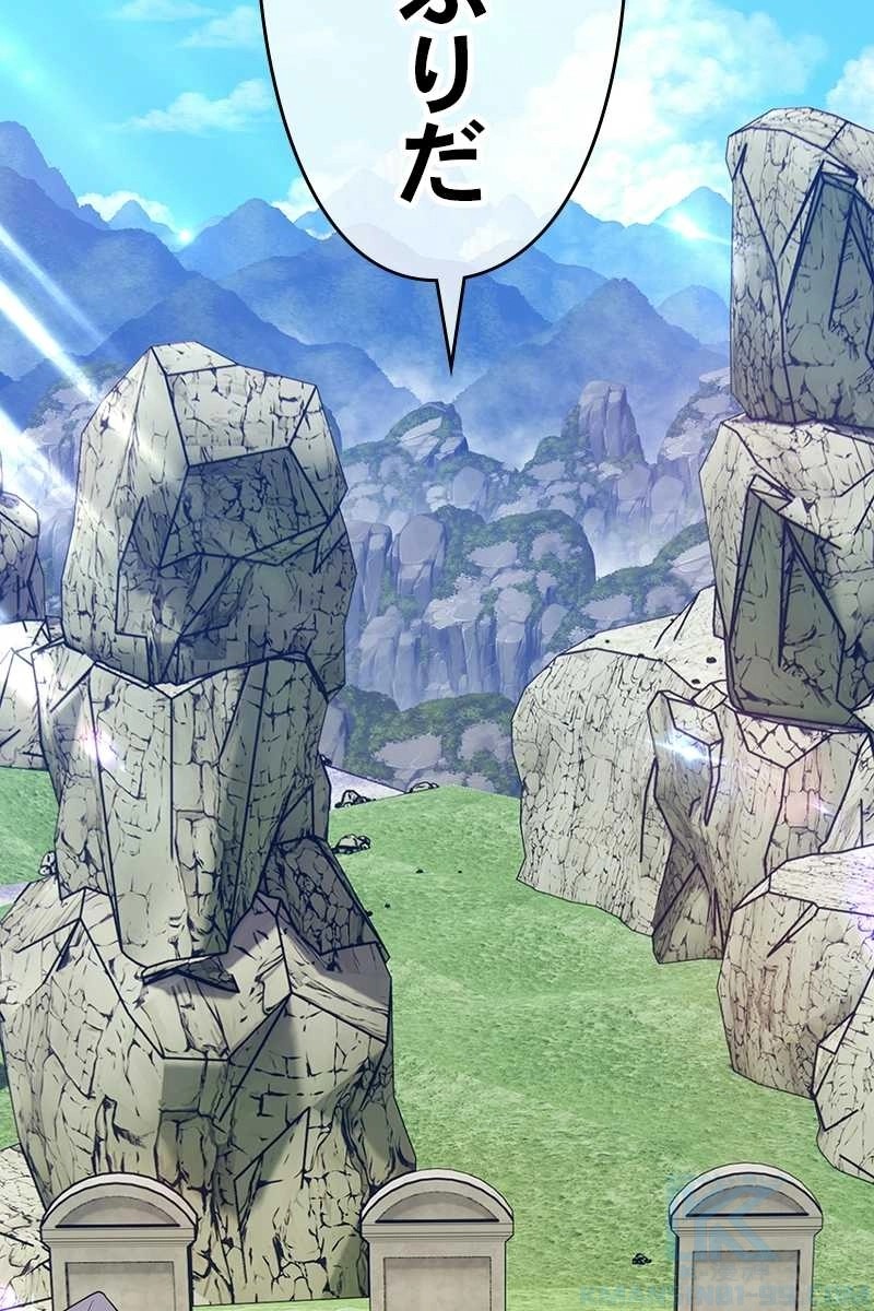 256