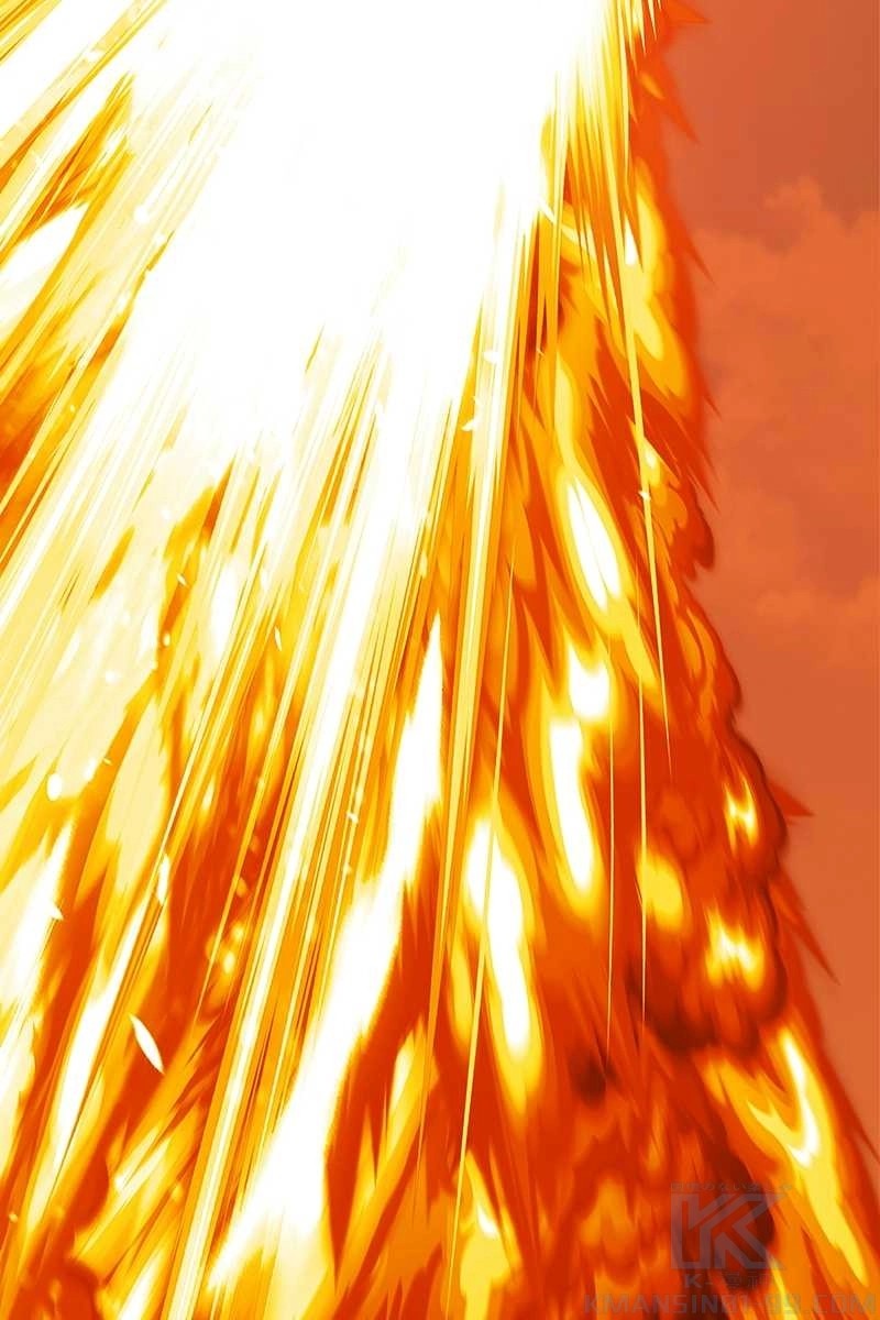 241