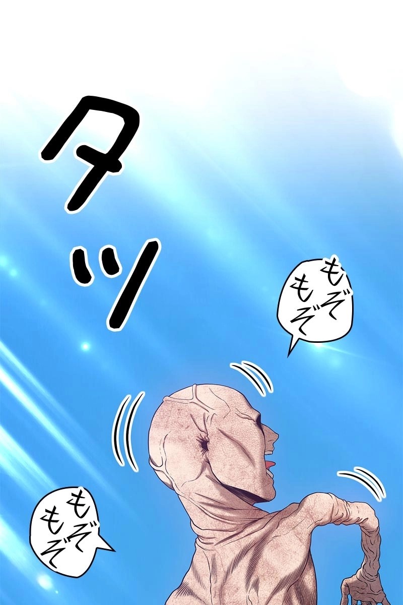 66