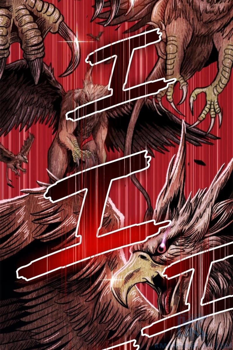 224